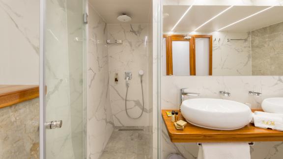 A bathroom with rain shower, designer washbasin and a large mirror on the wall.